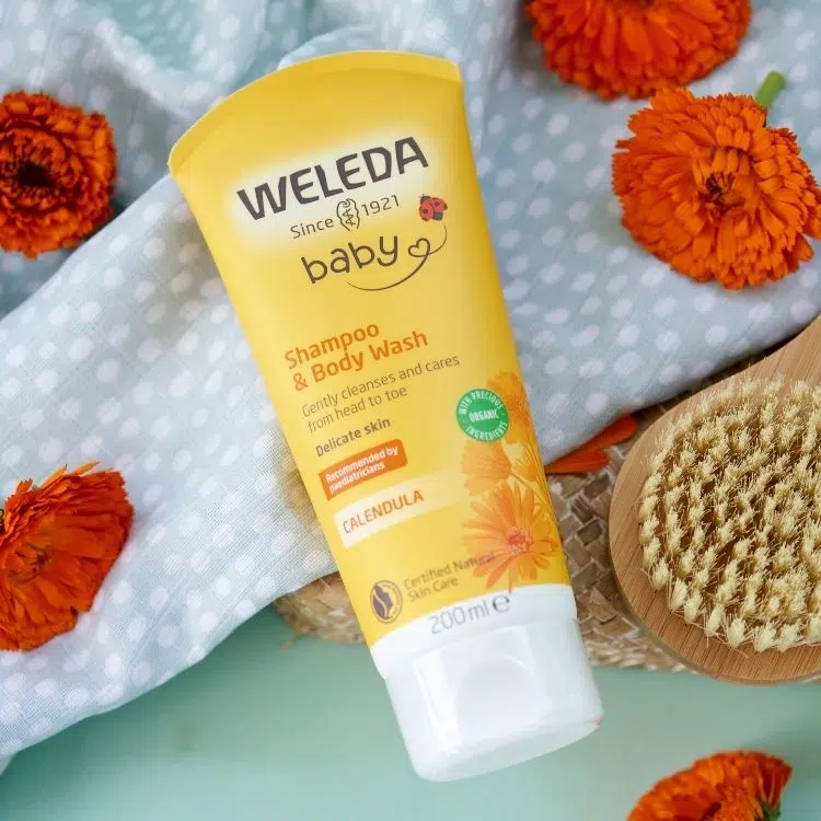 Calendula Shampoo and Body Wash