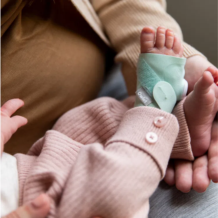 Owlet Monitor Duo 2
