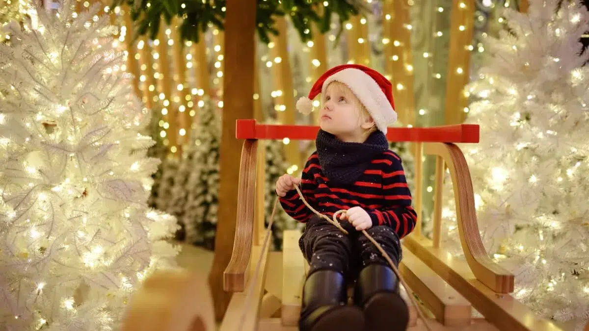 santa shop