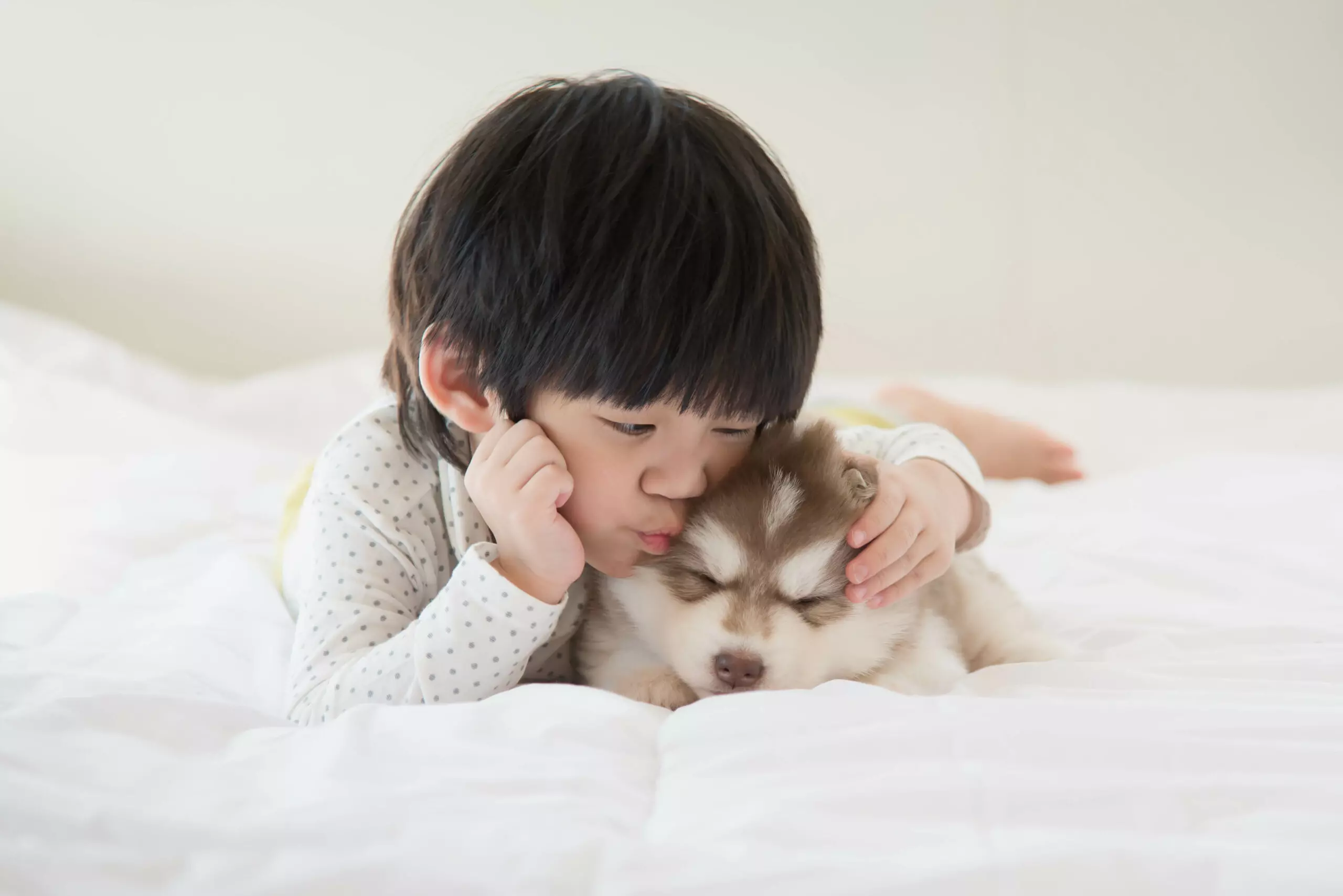 pets and toddlers