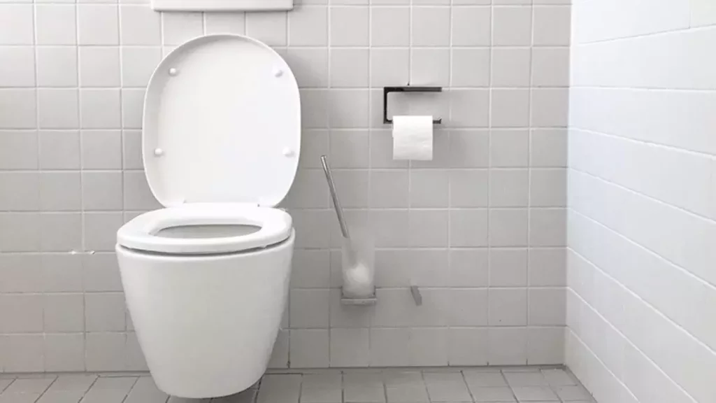 Pooping in pregnancy