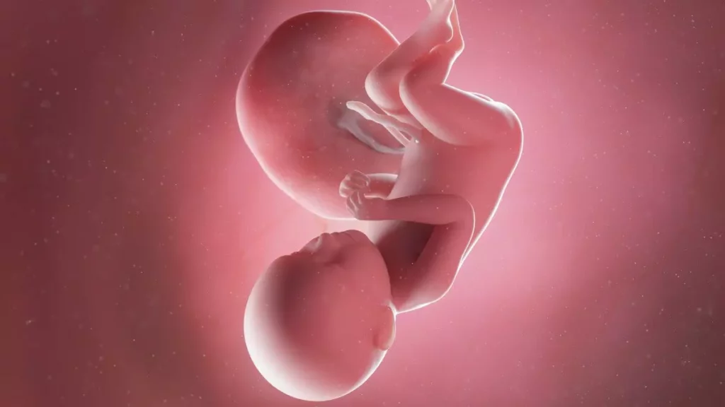39 weeks pregnant