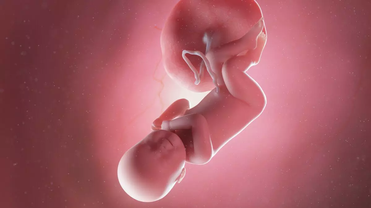 41 weeks preganant