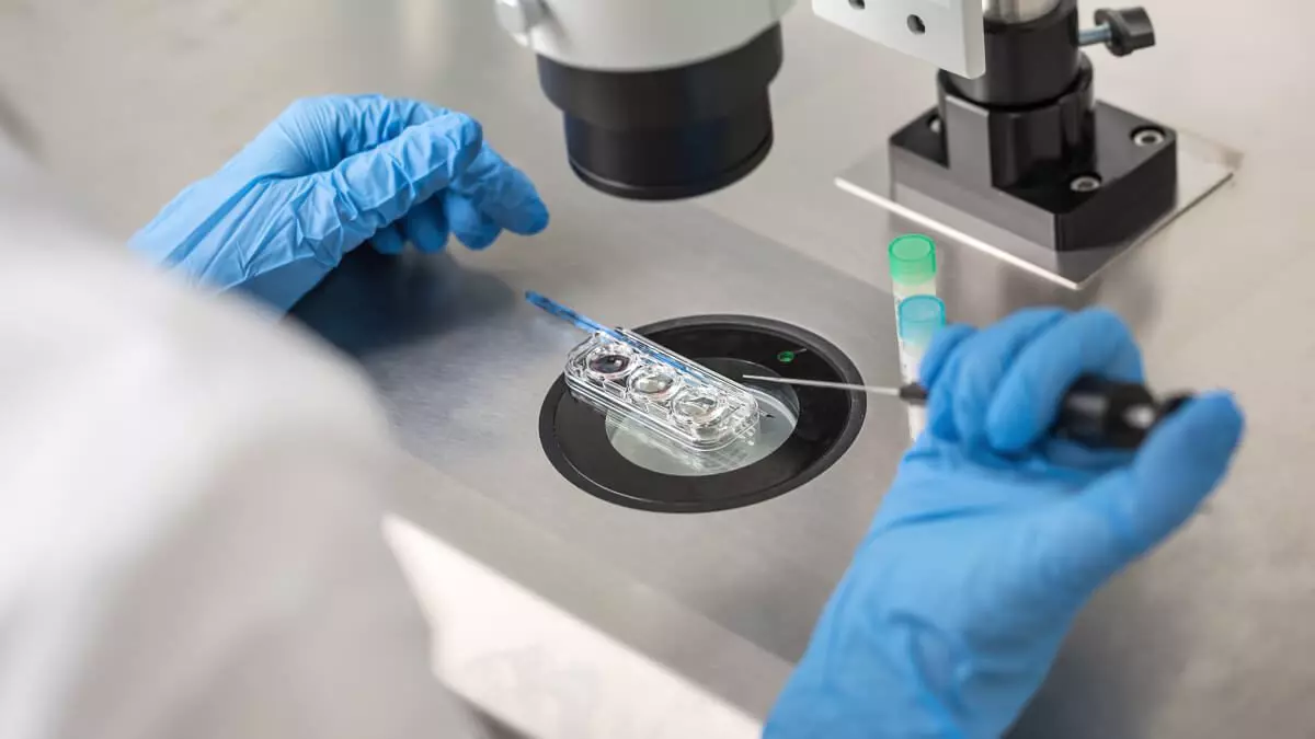 In Vitro Fertilisation