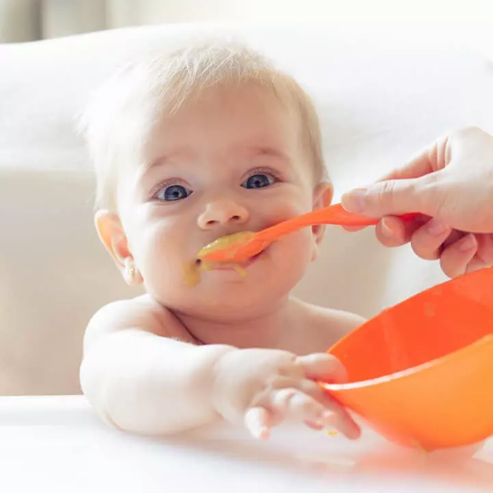starting solids