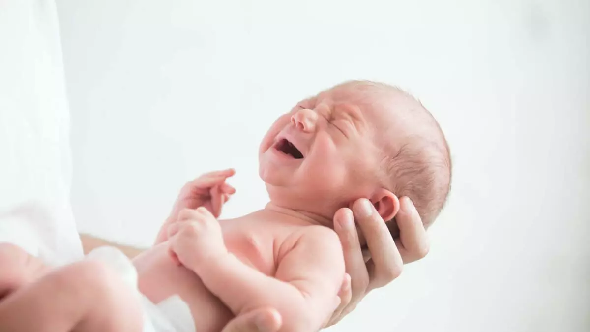baby communication & language