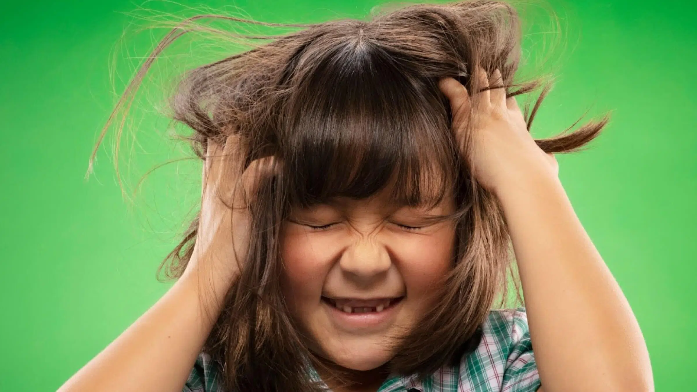 Head lice solution