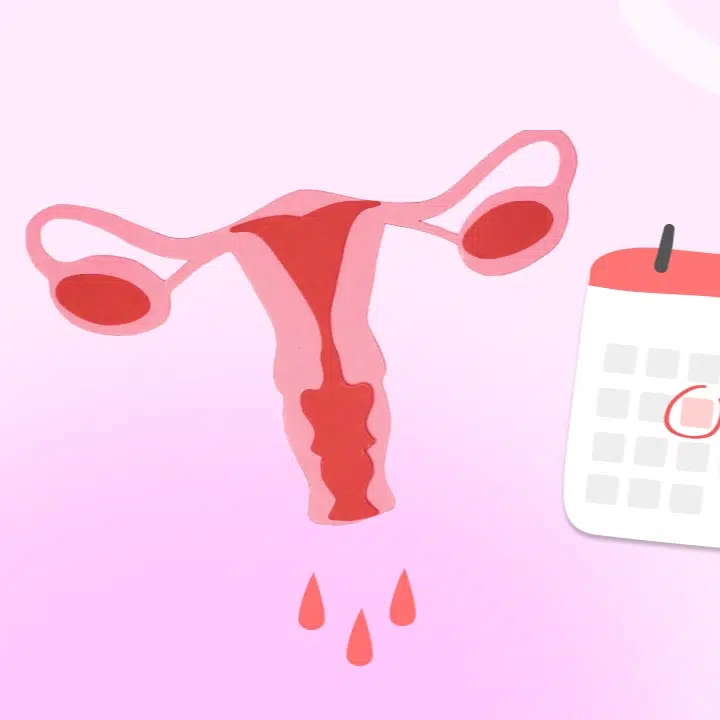 tracking your menstrual cycle