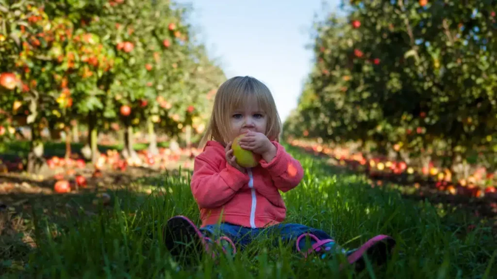 common nutrient deficiencies
