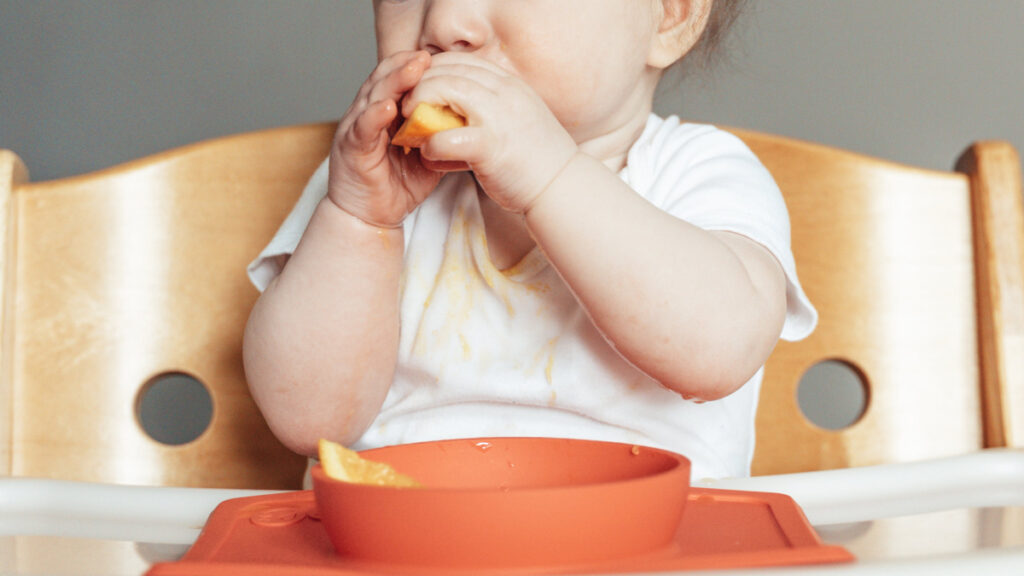 Can babies eat seafood?