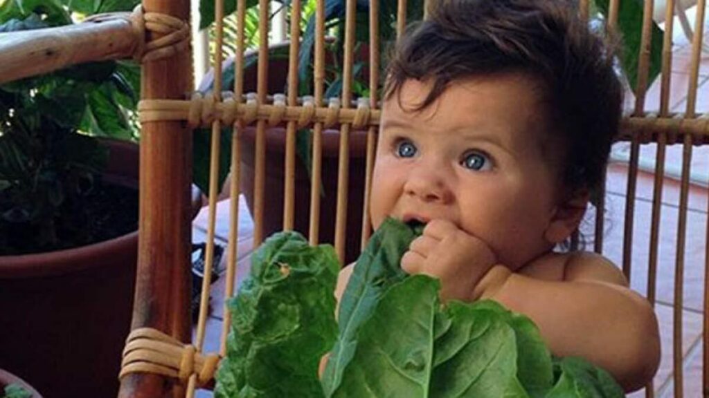 Baby-led weaning