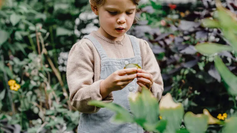 Teaching sustainability for kids: Conversations made simple