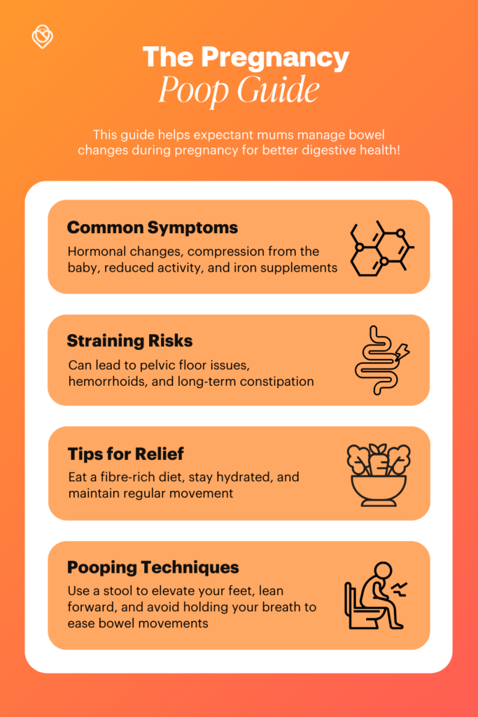 What Are Pregnancy Poop Changes Like? A Guide