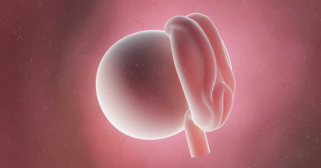 4 weeks pregnant: Symptoms, tips, and baby development