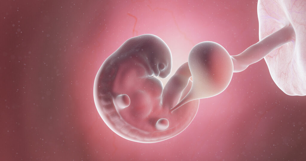 6 weeks pregnant: Symptoms, tips and baby development