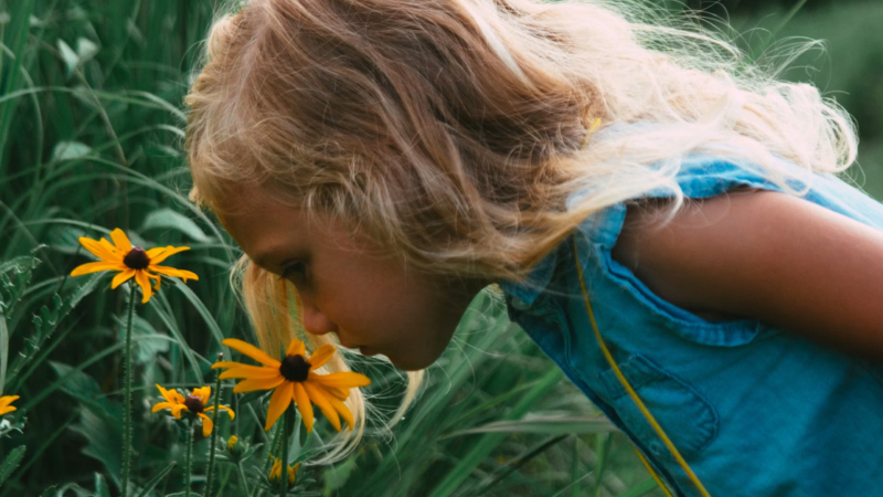 Is it hay fever or a cold? What parents should look for