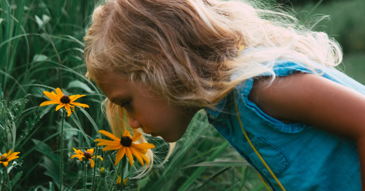 Is it hay fever or a cold? What parents should look for