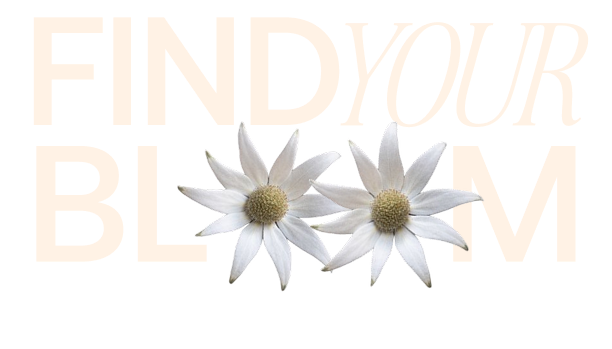 bloom-flower-img